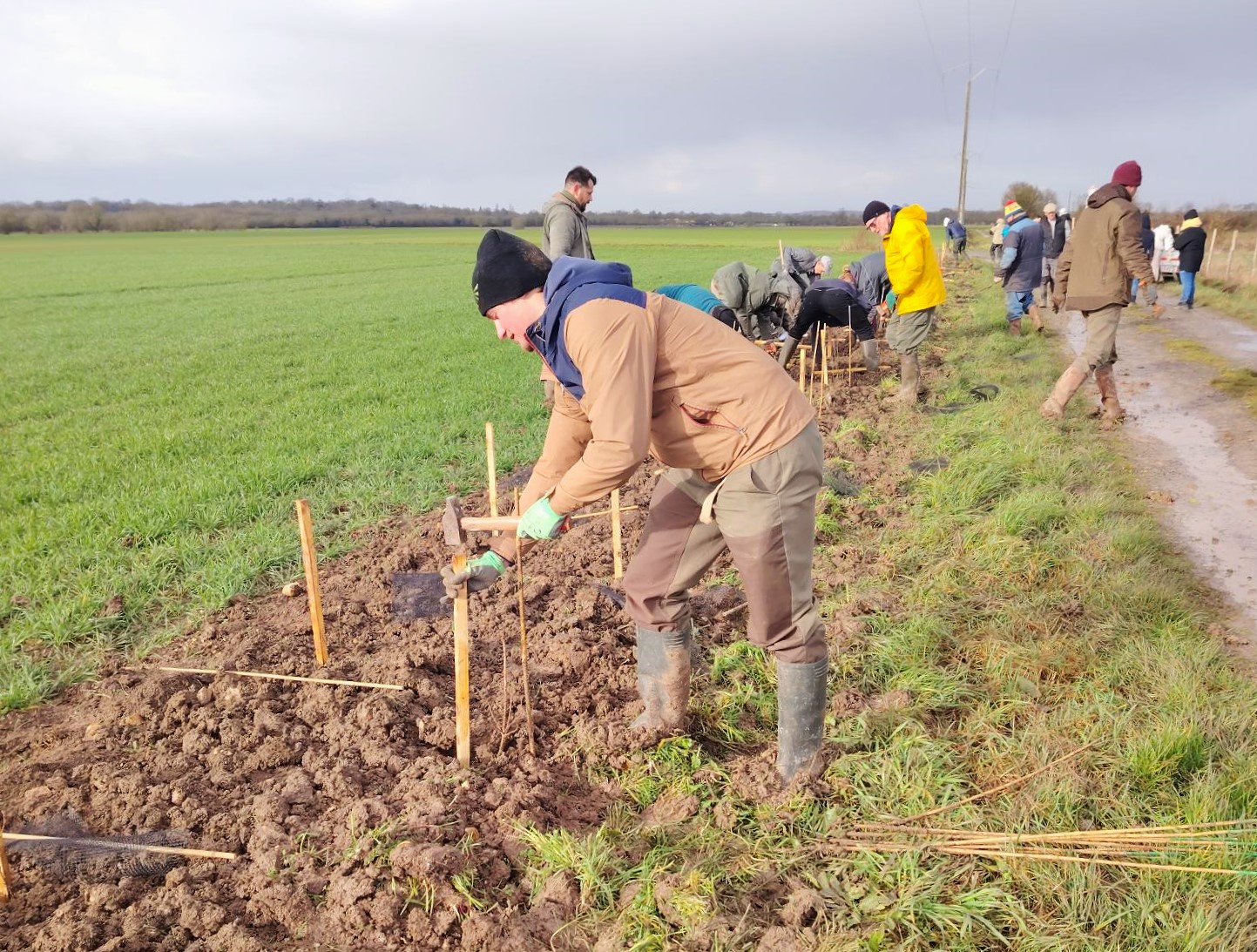plantation de Haie - Jennifer Fabre